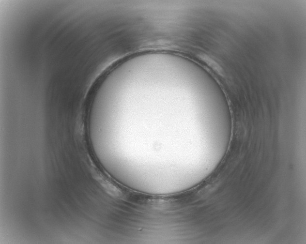 X0000073871458200608312040