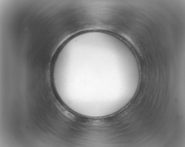 X0000073871460200608312040