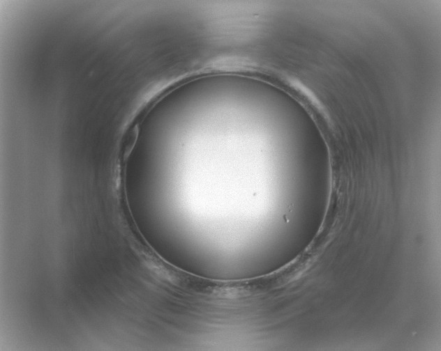 X0000073871461200608312040