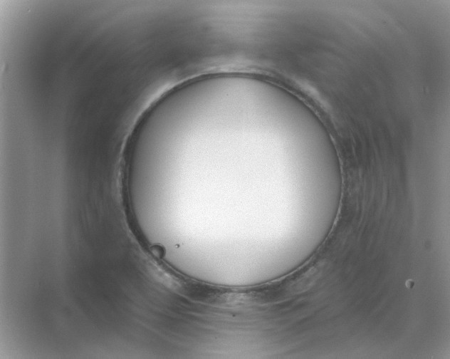 X0000073871463200608312040