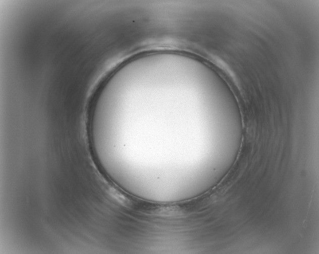 X0000073871464200608312040