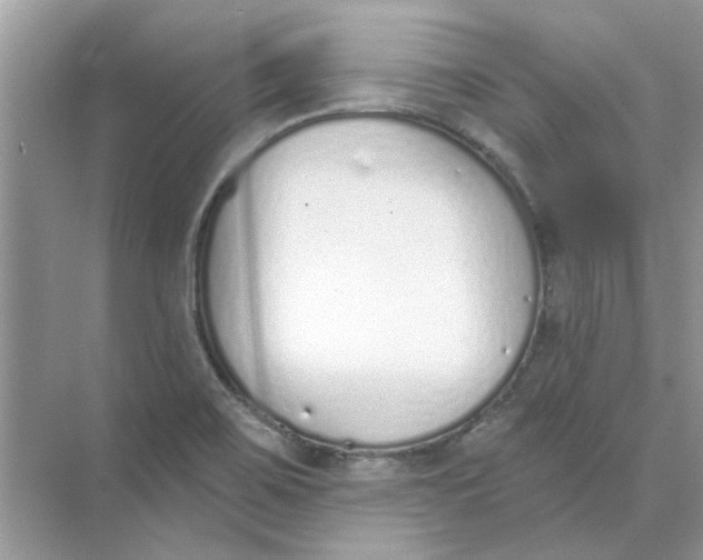 X0000073871467200608312040