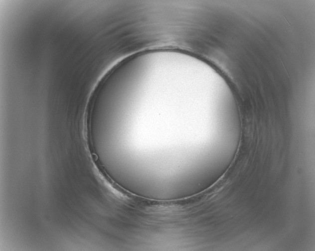 X0000073871468200608312040