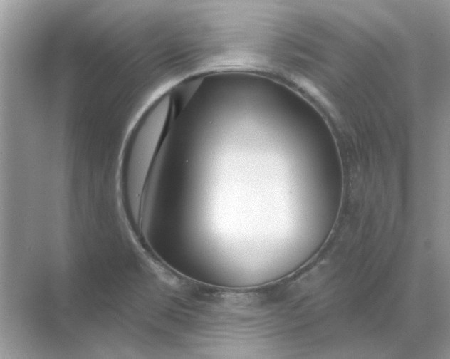 X0000073871469200608312040