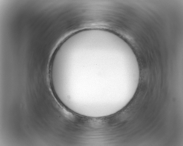 X0000073871470200608312040