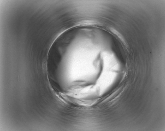 X0000073871473200608312040