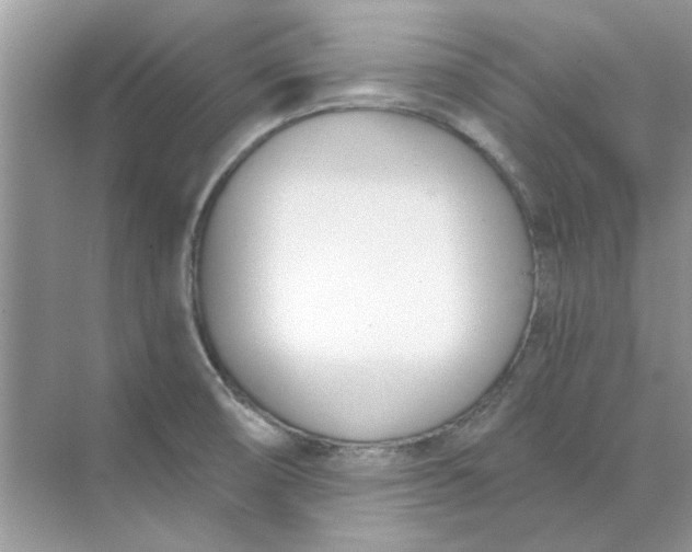 X0000073871474200608312040