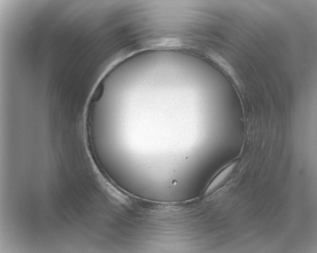 X0000073871475200608312040