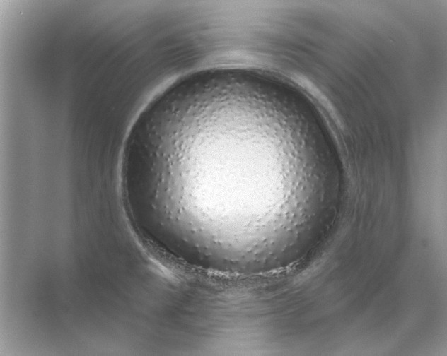 X0000073871477200608312040