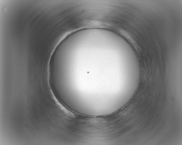 X0000073871479200608312040