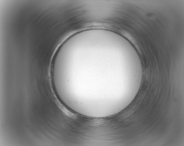 X0000073871482200608312040