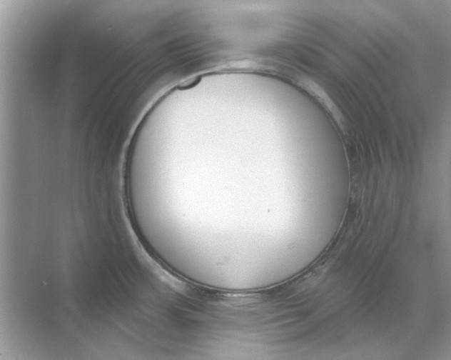 X0000073871483200608312039