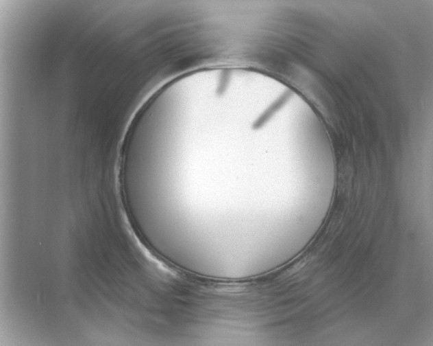 X0000073871484200608312039