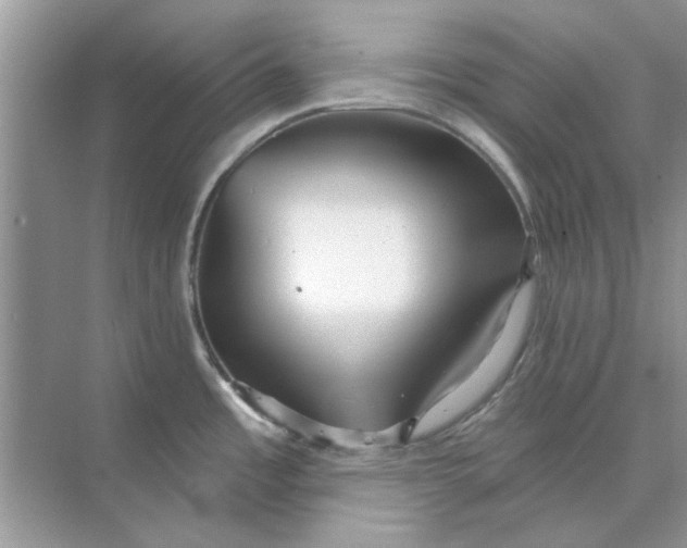 X0000073871485200608312039