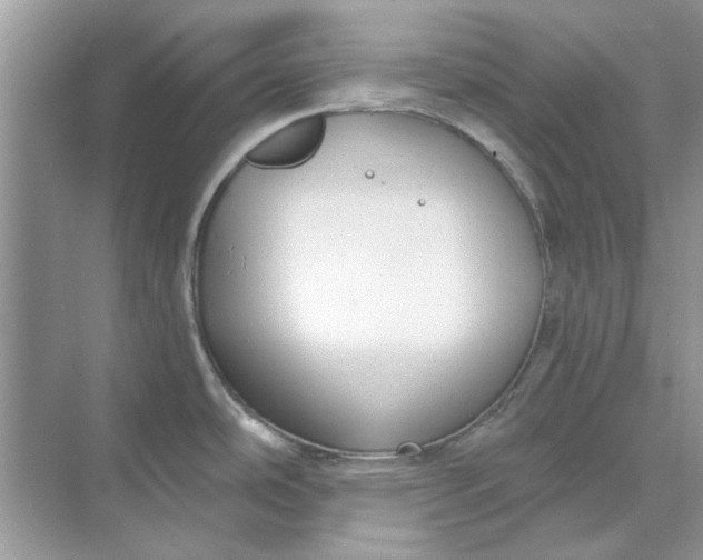 X0000073871486200608312039