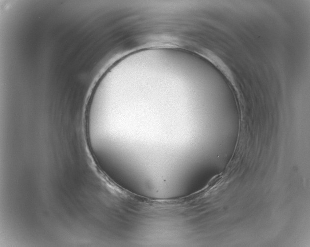 X0000073871488200608312039