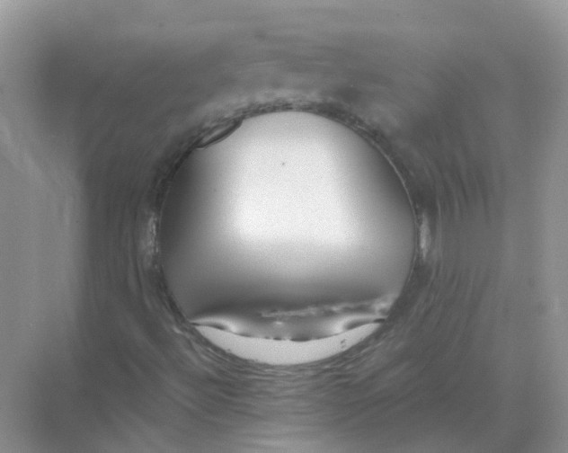 X0000073871492200608312039