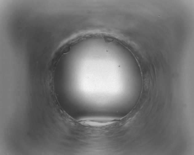 X0000073871494200608312039