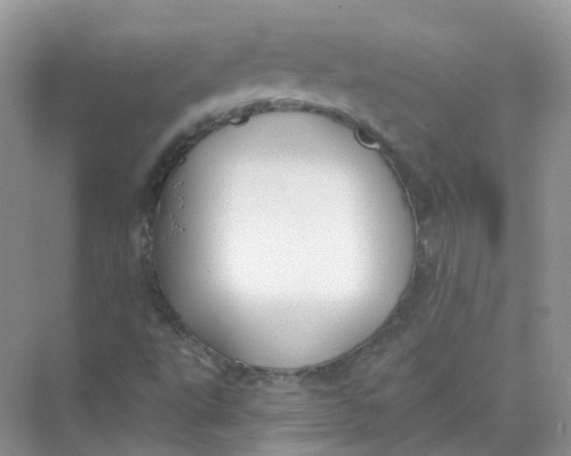 X0000073871495200608312039