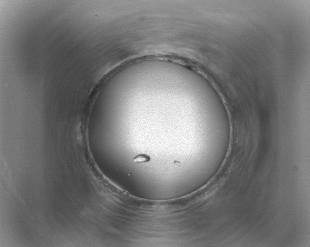 X0000073871497200608312039