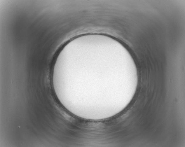 X0000073871498200608312039