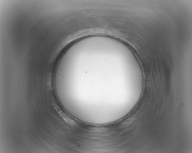 X0000073871499200608312039