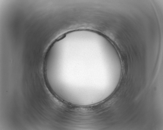 X0000073871500200608312039