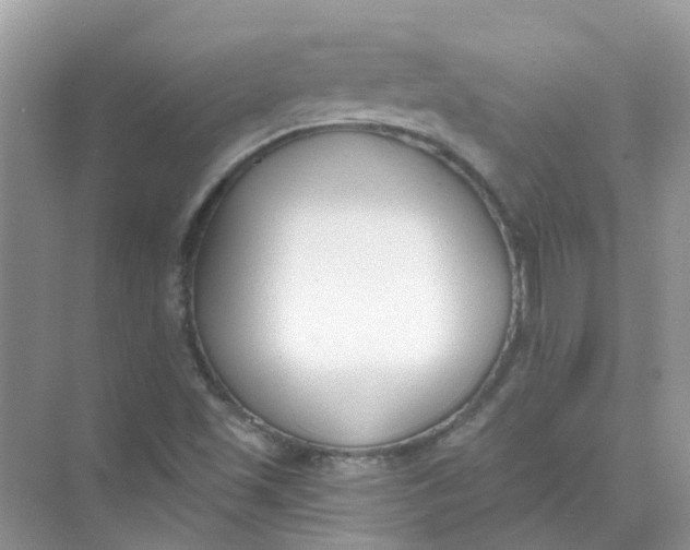 X0000073871501200608312039