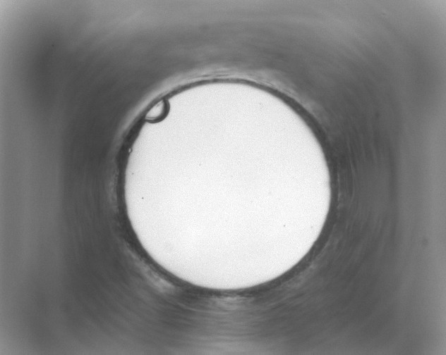 X0000073871502200608312039