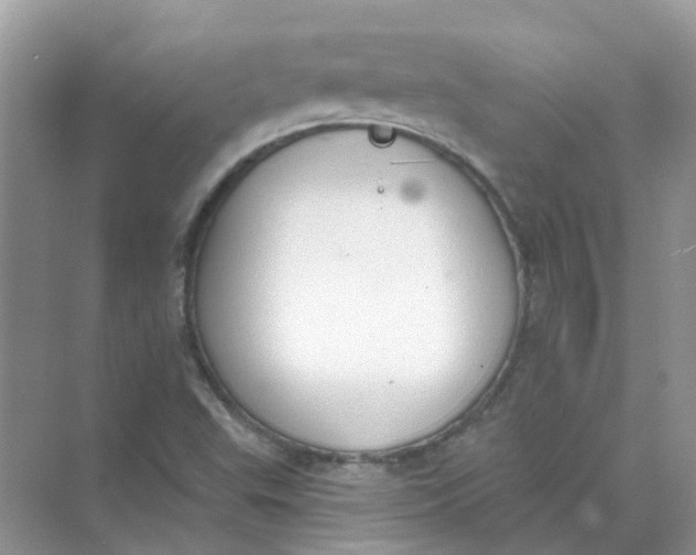 X0000073871503200608312039