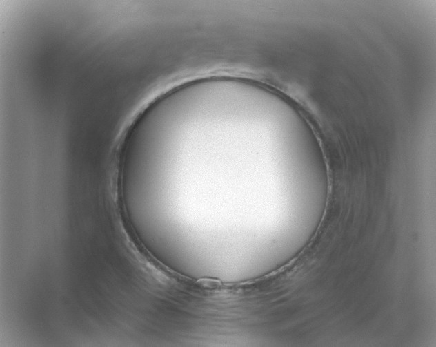 X0000073871504200608312039