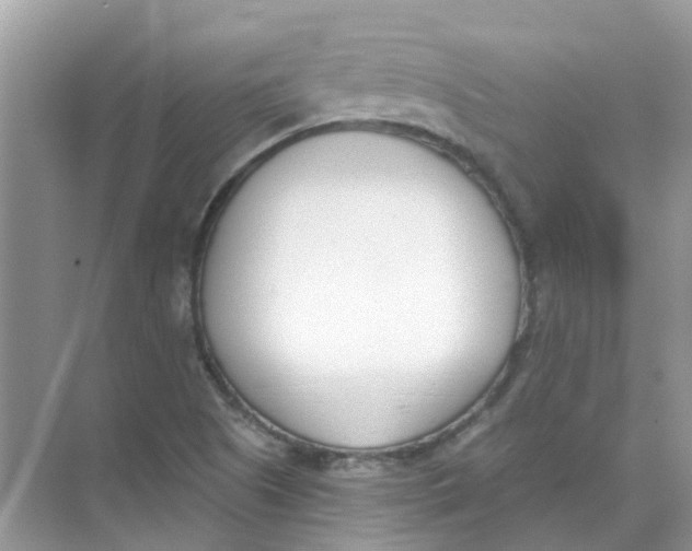 X0000073871505200608312039