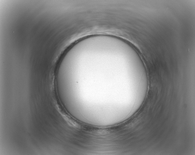 X0000073871507200608312039