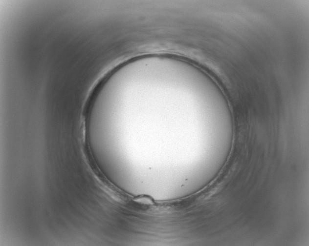 X0000073871509200608312039