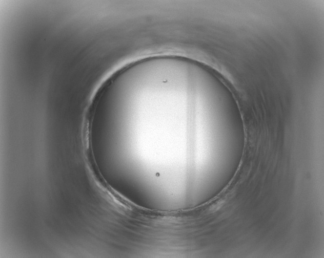 X0000073871510200608312039