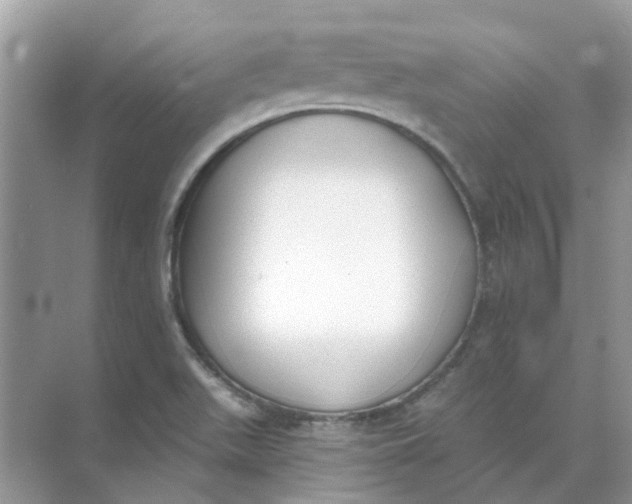 X0000073871511200608312039