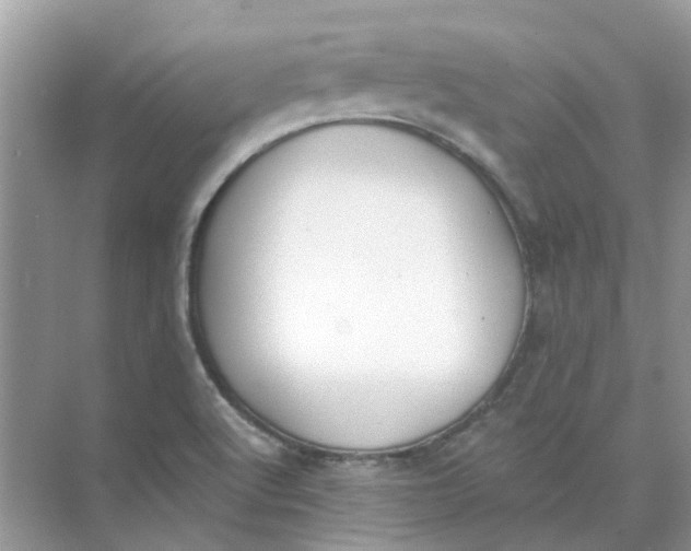 X0000073871512200608312039