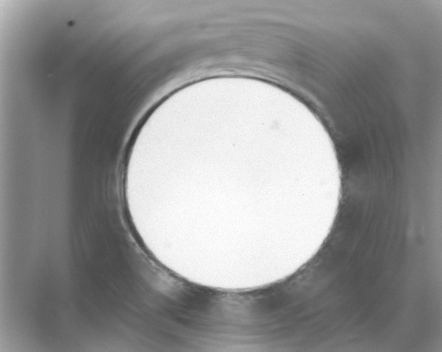 X0000073871514200608312039