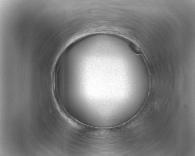 X0000073871515200608312039