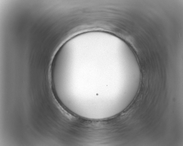 X0000073871516200608312039