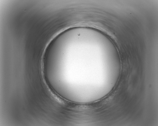 X0000073871517200608312039