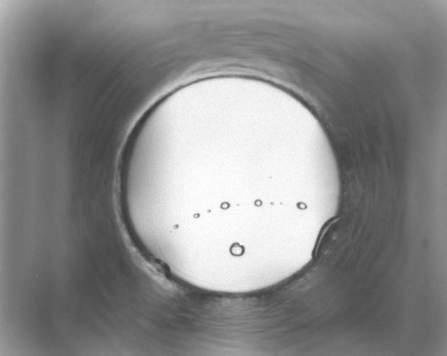 X0000073871518200608312039