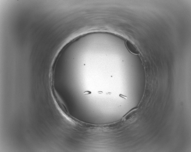 X0000073871519200608312039