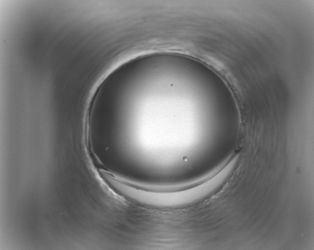 X0000073871520200608312039