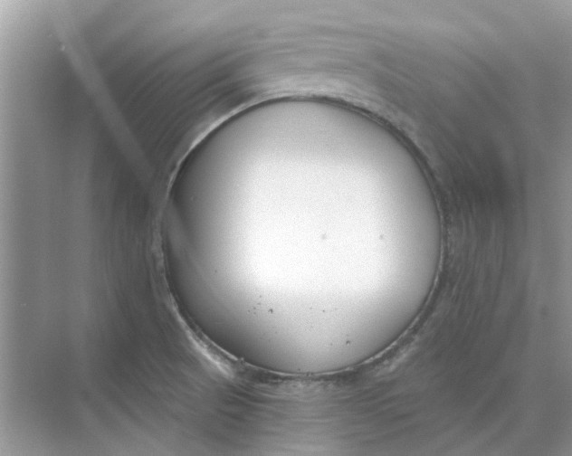 X0000073871521200608312039