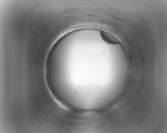 X0000073871523200608312039