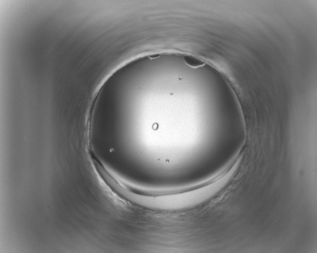 X0000073871524200608312039