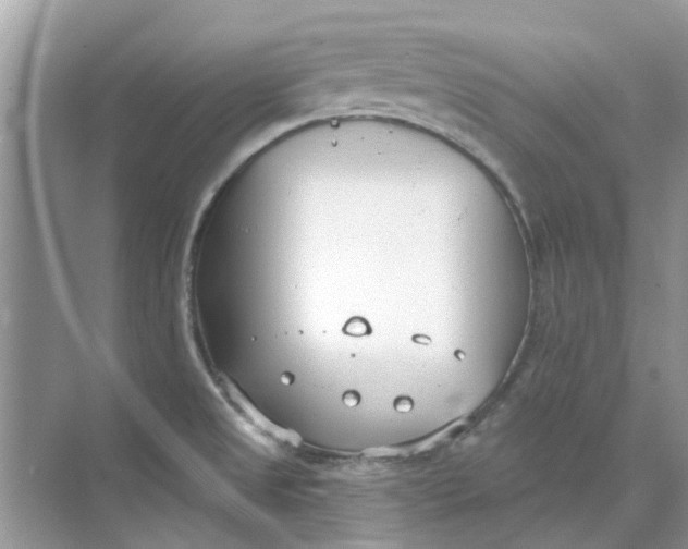 X0000073871525200608312039