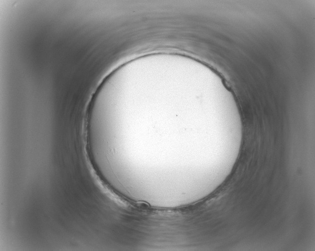 X0000073871526200608312039