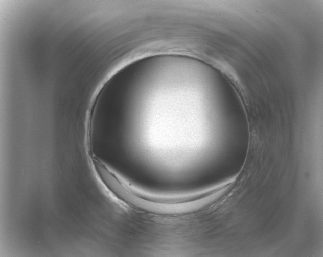 X0000073871528200608312039